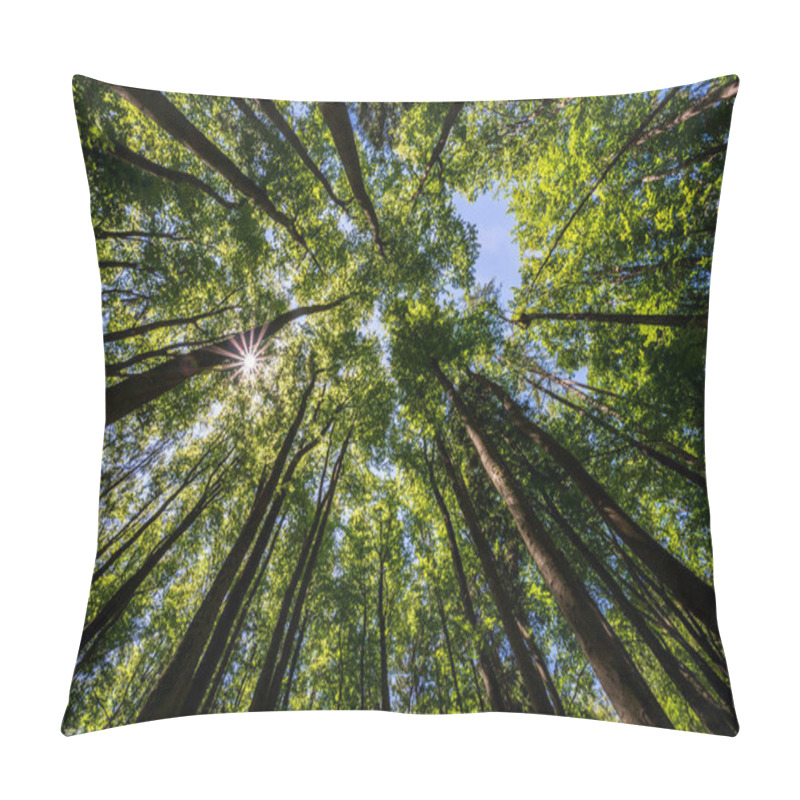 Personality  Trees In A Forest From Below With The Sun Ultra Wide Pillow Covers