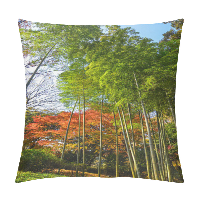 Personality  Autumn Garden In Tokyo, Japan  Pillow Covers