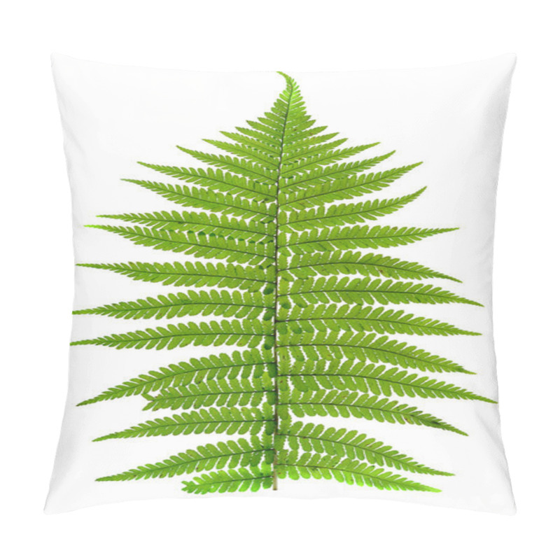 Personality  Leaf Of Fern Pillow Covers