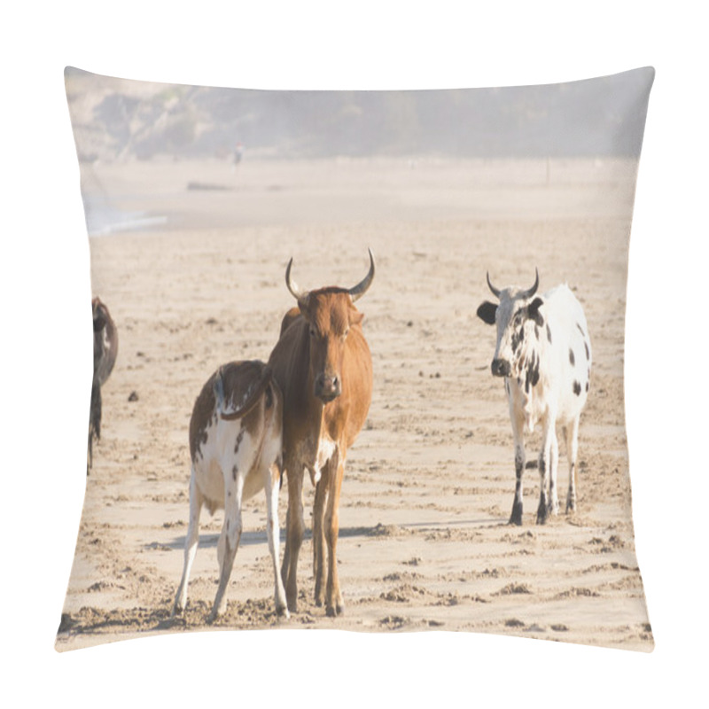 Personality  Nguni Cow At The Seaside Pillow Covers