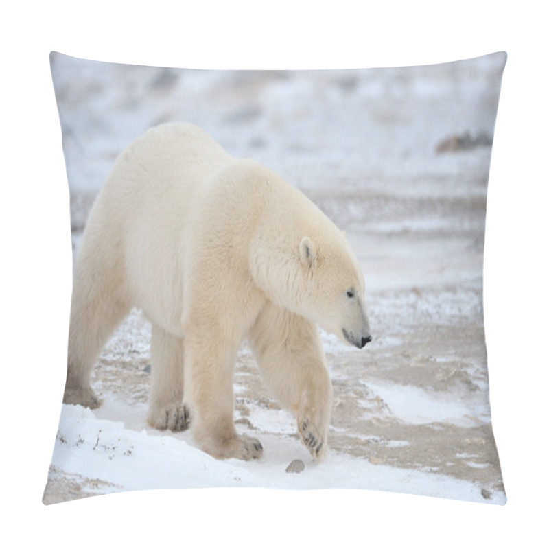 Personality  Polar Bear Pillow Covers