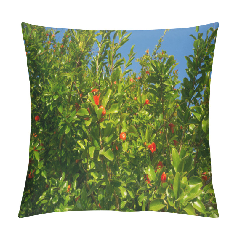 Personality  Pomegranate Blossom Pillow Covers