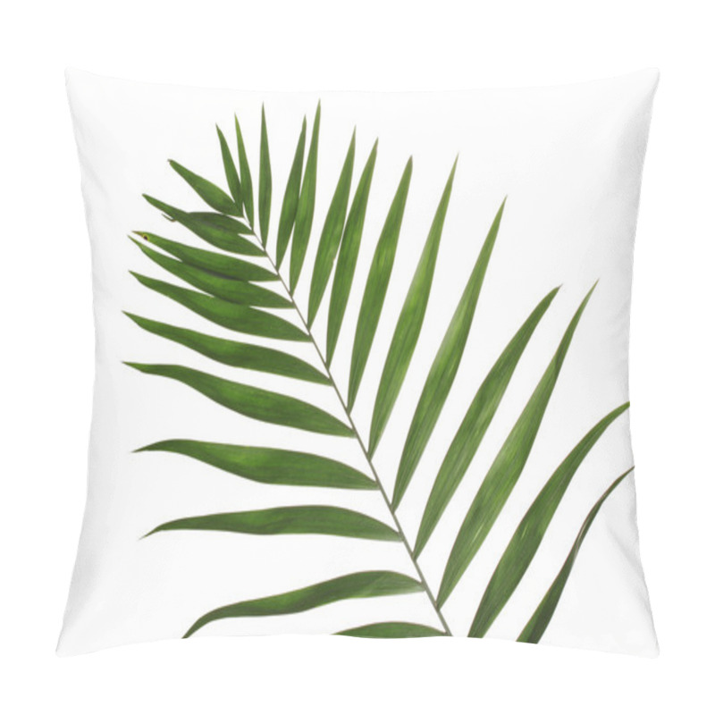 Personality  Beautiful Palm Leaf Isolated On White Pillow Covers