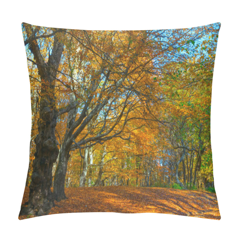 Personality  Beautiful Red Autumn Forest Landscape, Autumn Outdoor Scene Pillow Covers