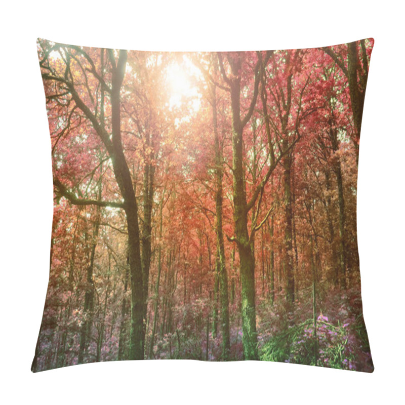 Personality  Picturesque Tree Trunks Of A Dreamy Forest Imaged In Infrared At The Mythical Mount Olympus - Greece                              Pillow Covers