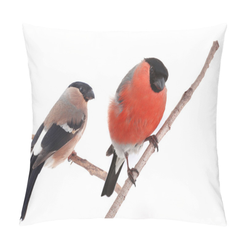 Personality  Bullfinches Sitting On The Branches Pillow Covers