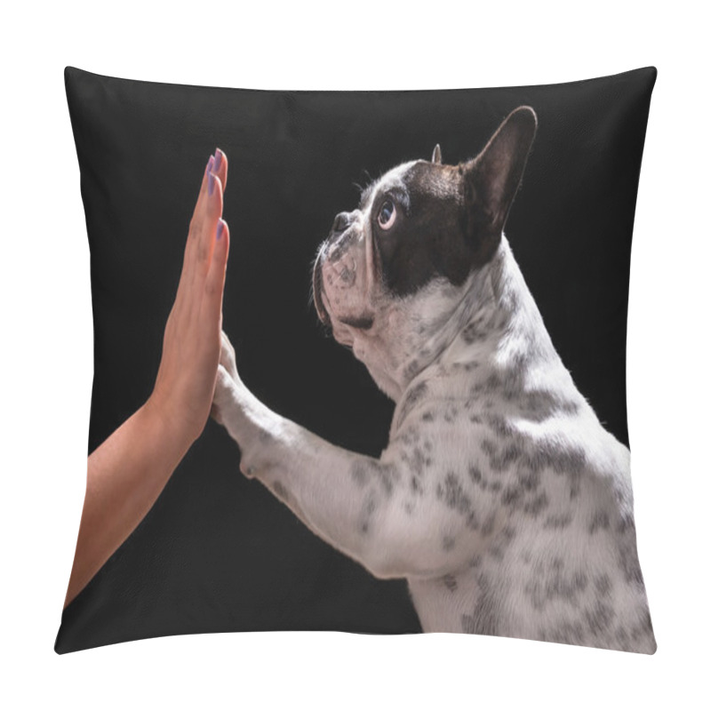 Personality  French Bulldog Giving High Five Pillow Covers