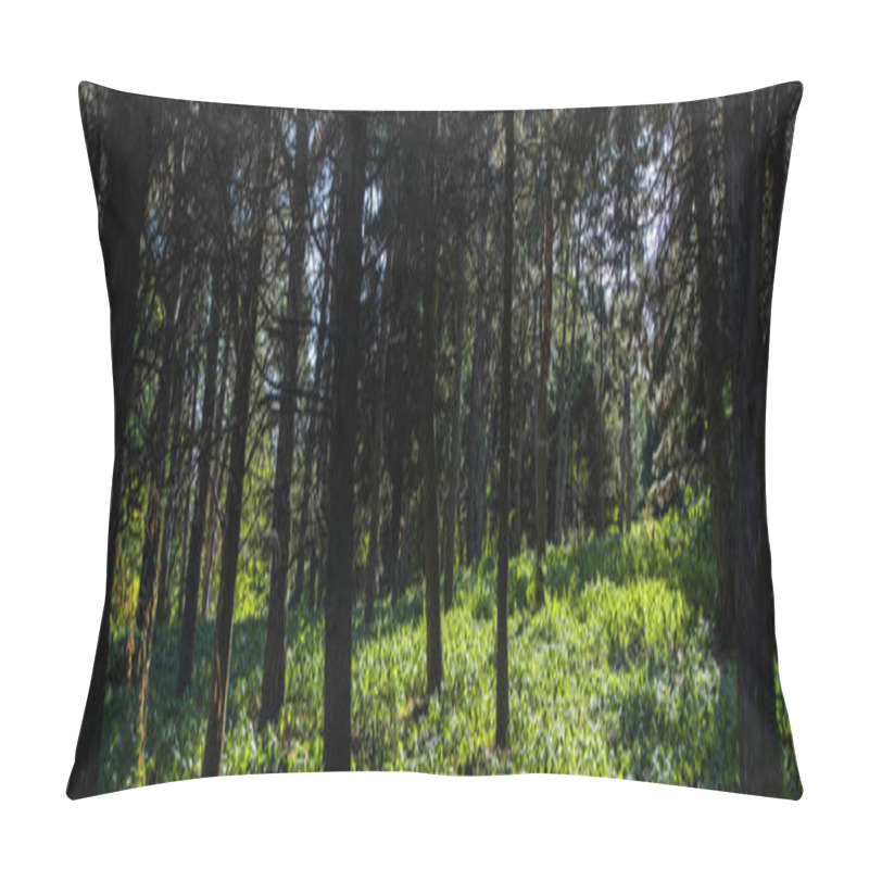 Personality  Trees And Green Grass With Sunlight In Forest, Panoramic Shot Pillow Covers