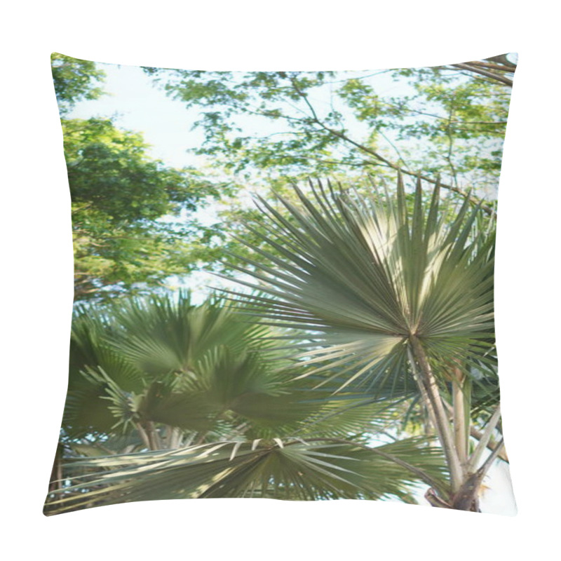 Personality  Background Of A Tree With A Large Trunk And Branches With Wide Light Green Leaves Pillow Covers