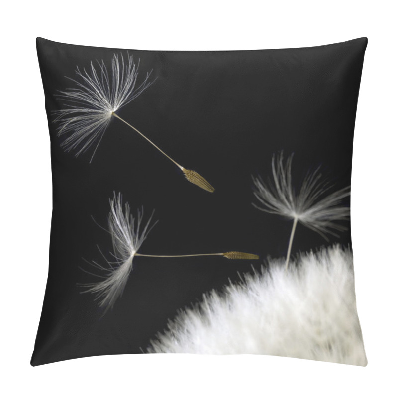 Personality  Dandelion Seeds Closeup In Black Back Pillow Covers