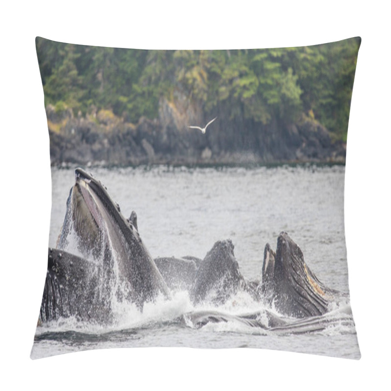 Personality  Humpback Whales Above Water Surface Pillow Covers