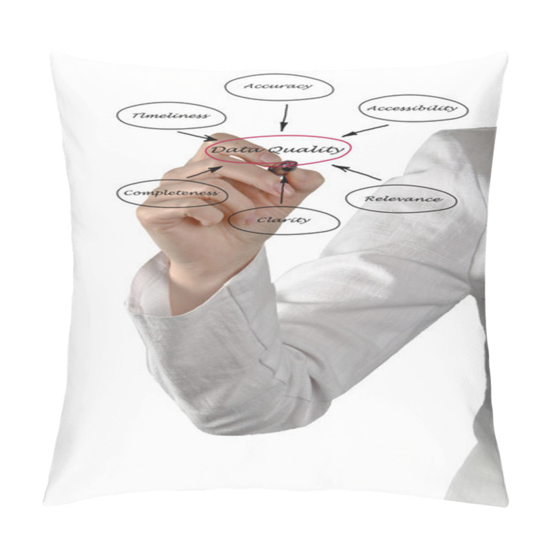 Personality  Diagram Of Data Quality Pillow Covers