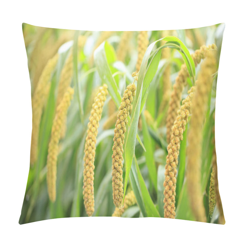 Personality   Foxtail Millet Pillow Covers