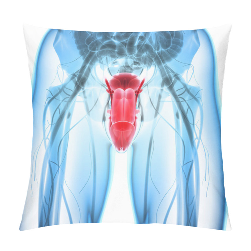 Personality  Reproductive System Male, Medical Concept. Pillow Covers