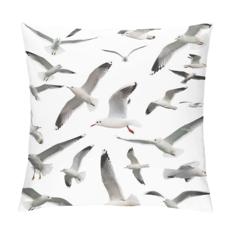 Personality  Birds Set Isolated Pillow Covers