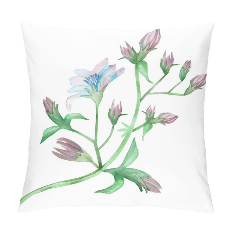 Personality  Watercolor Hand Painted Nature Floral Plants Composition With Light Blue And Purple Chicory Flowers, Buds And Green Leaves On Branch Bouquet On The White Background Pillow Covers