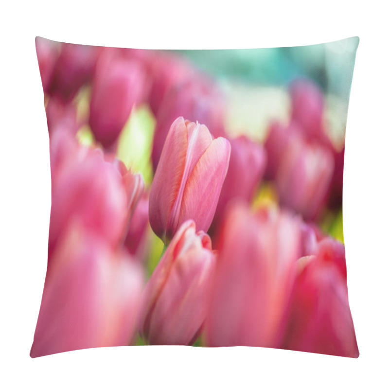 Personality  Beautiful Pink Tulips Pillow Covers