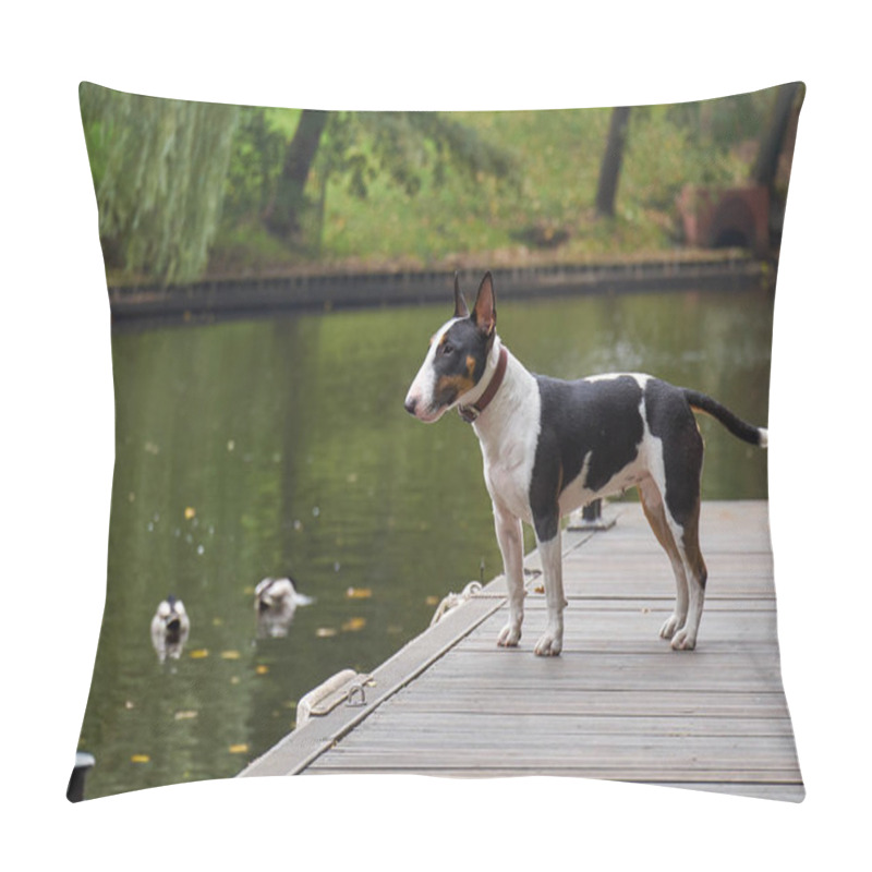 Personality  Bull Terrier Puppy Dog On A Wooden Pier At A Lake, Copy Space, Detail With Selected Focus And Narrow Depth Of Field Pillow Covers