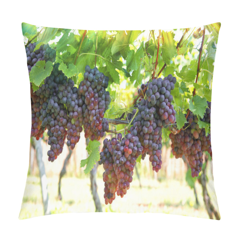 Personality  Red Grapes With Green Leaves On The Vine Pillow Covers