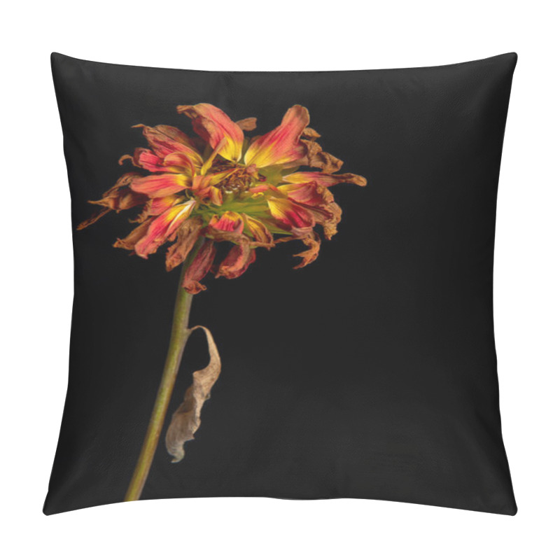 Personality  Dying Yellow Dahlia Flower Pillow Covers