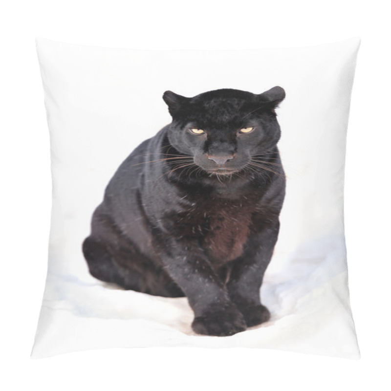 Personality  Leopard Portrait Pillow Covers