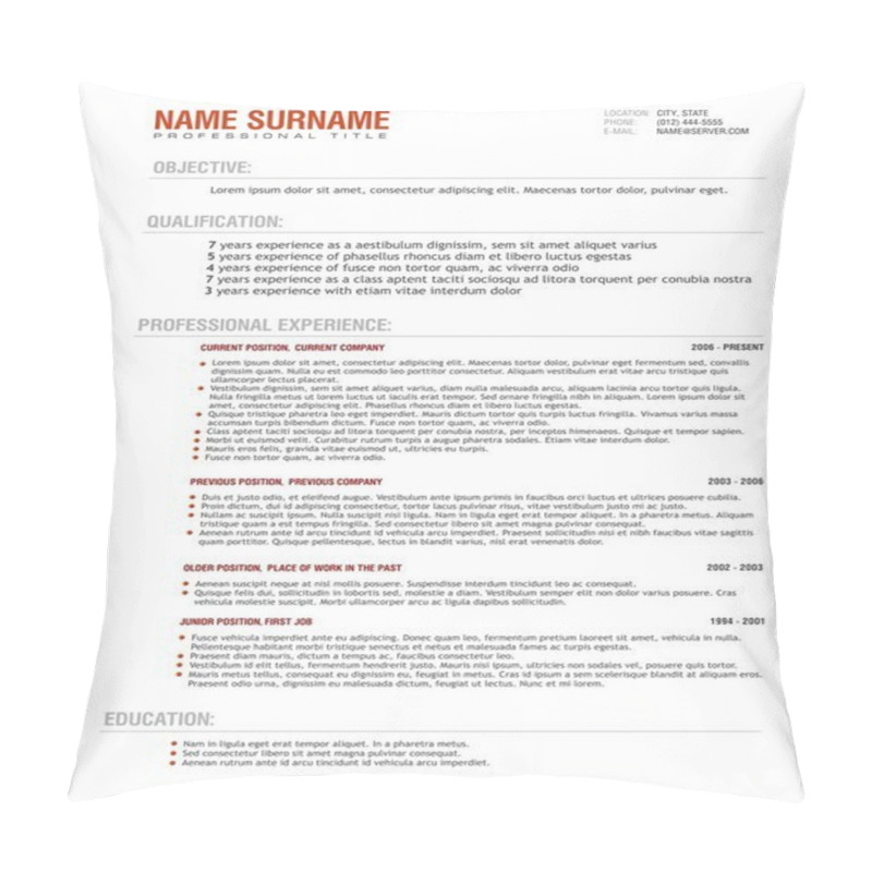 Personality  Resume Template For Job Applications. Pillow Covers