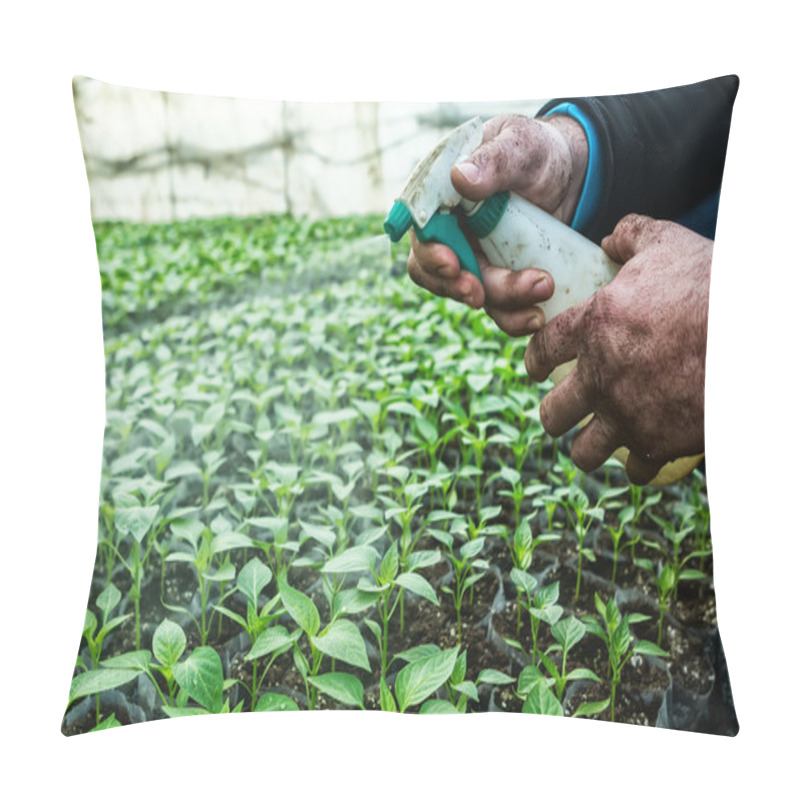 Personality  Close Up In The Hands Of A Man While Spraying The Small Plants I Pillow Covers