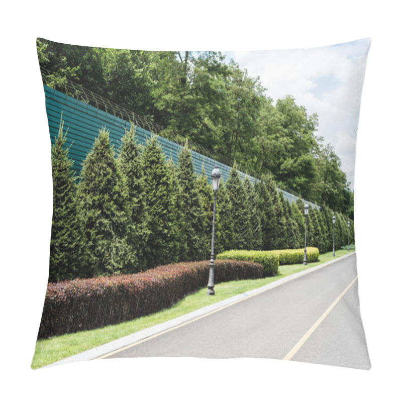 Personality  Yellow Line On Road Near Green Trees With Leaves In Summer  Pillow Covers