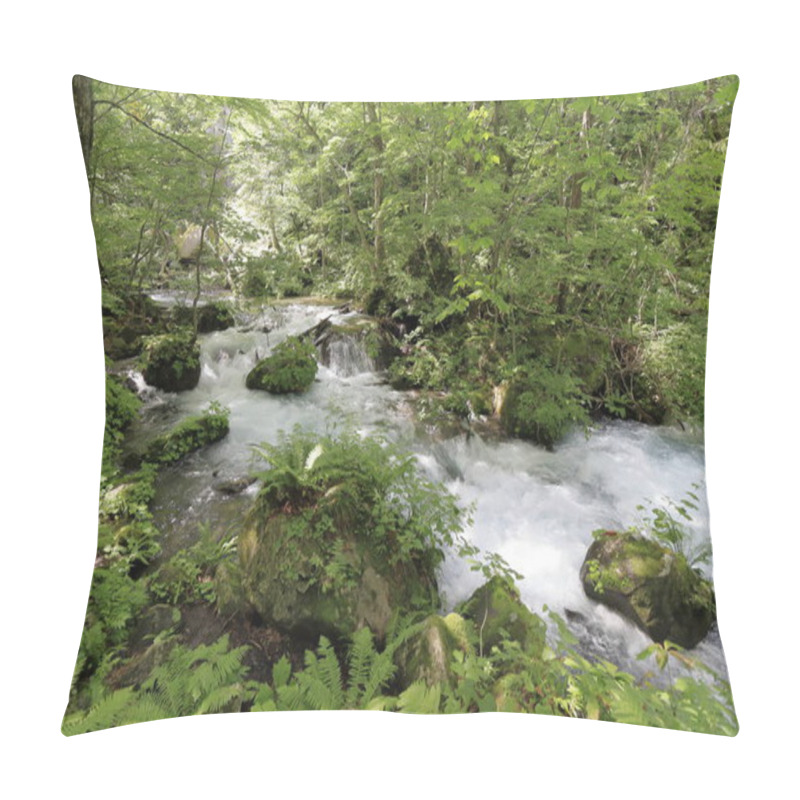 Personality  Manryo Current Of Oirase Mountain Stream In Aomori, Japan Pillow Covers