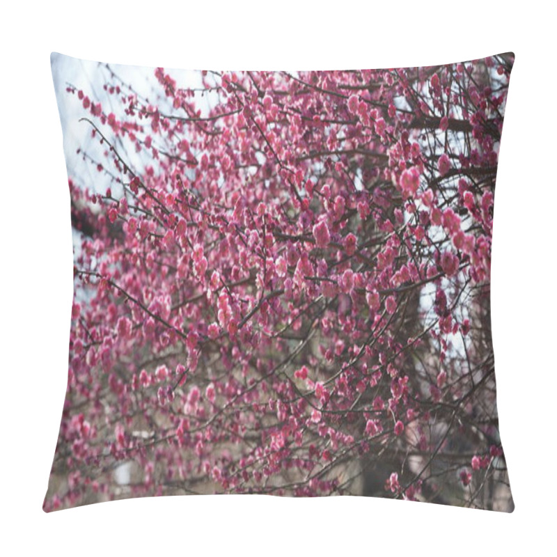 Personality  The Beautiful Blossoms Blooming In The Park In Spring Pillow Covers