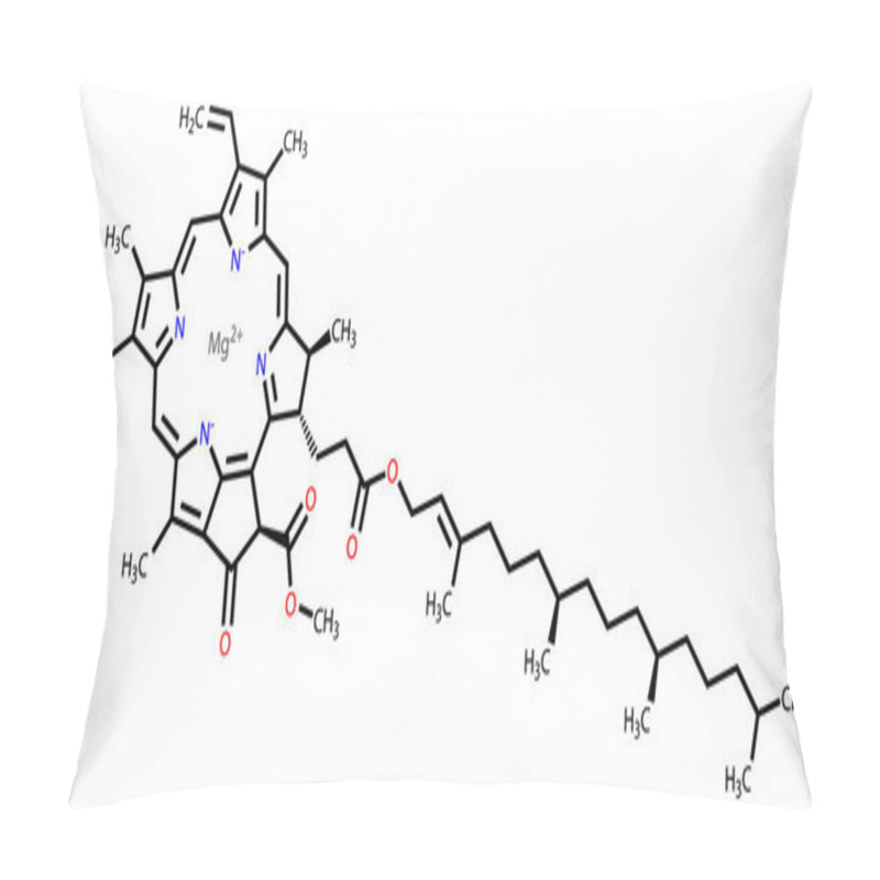 Personality  Chlorophyll A Structural Formula Pillow Covers