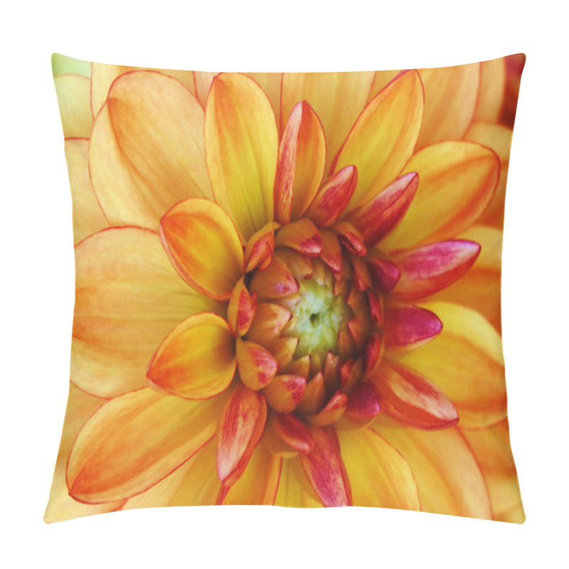 Personality  The Dahlia Name, Stadt Spremberg In The Dahlia Garden Baden Baden Near The Lichtentaler Alley Pillow Covers