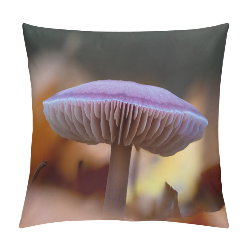 Personality  A Closeup Of The Mycena Pura Mushroom Pillow Covers