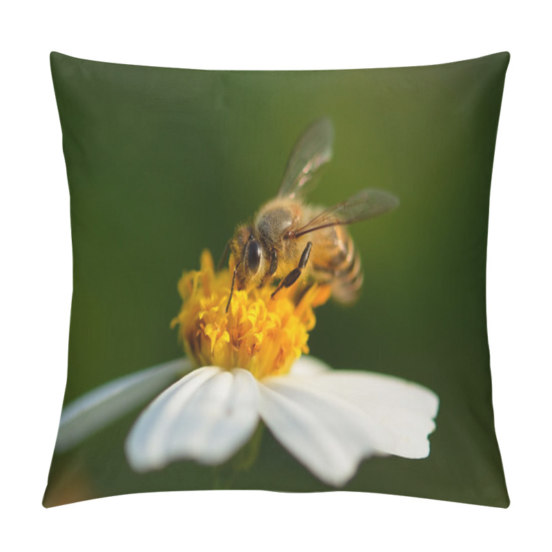 Personality  Close Up  Bees On  Flower Pillow Covers