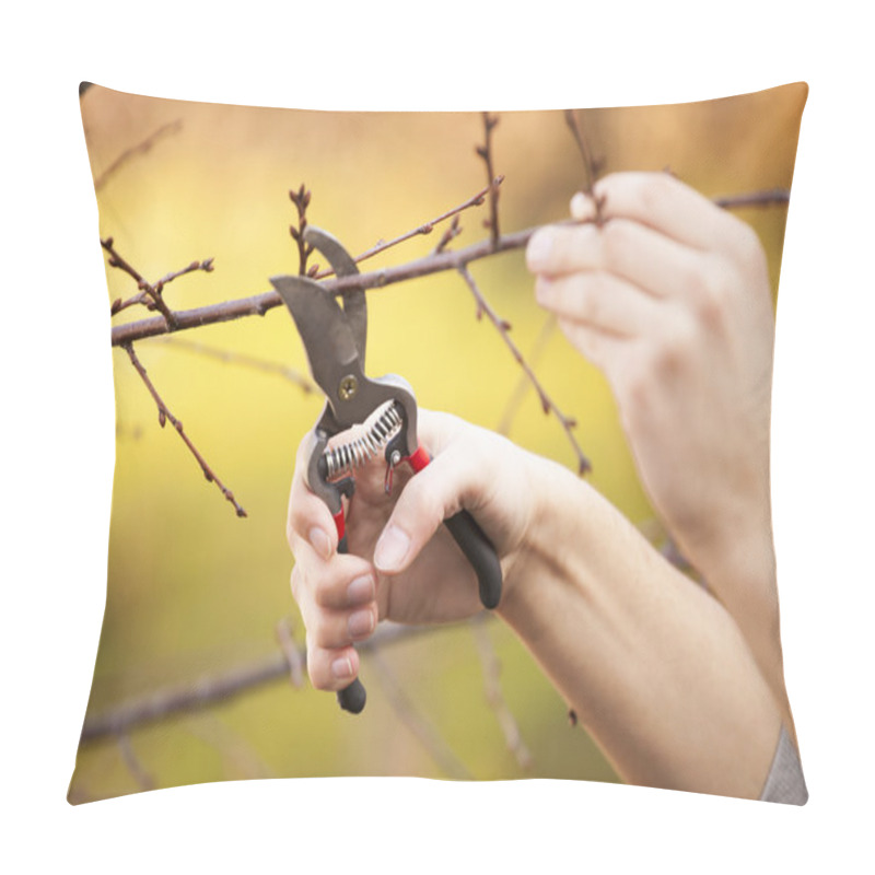 Personality  Pruning Fruit Tree - Cutting Branches At Spring Pillow Covers