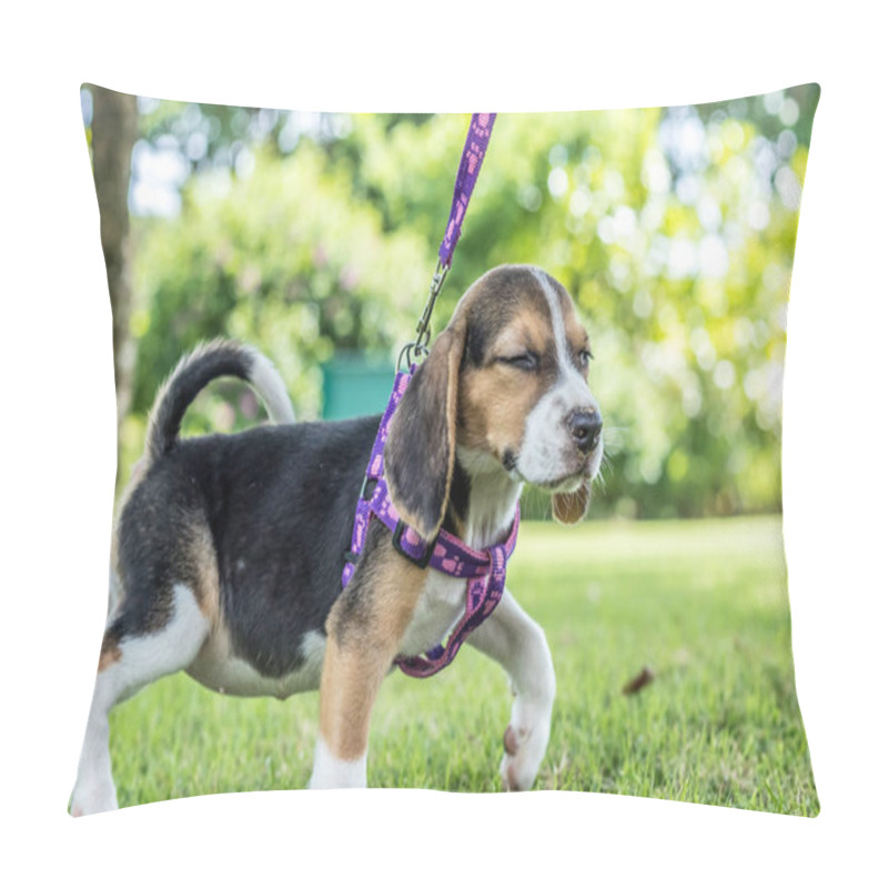 Personality  Happy Beagle Dog On A Natural Green Background Of Tropical Bali Island, Indonesia. Pillow Covers