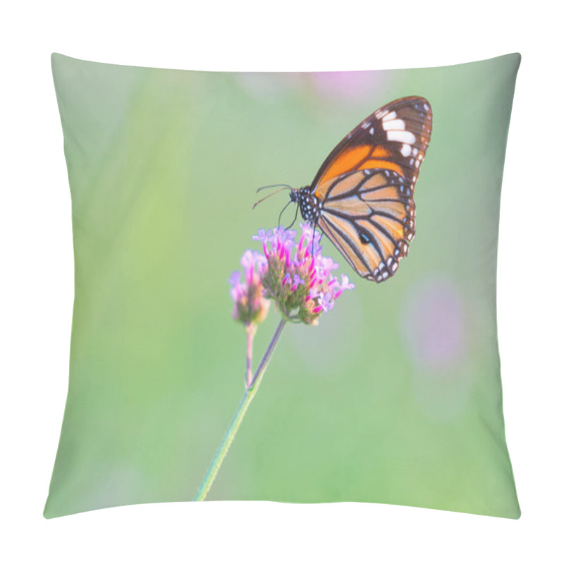 Personality  Butterfly On Flowers Pillow Covers