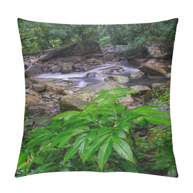 Personality  The Beautiful Scenic Waterfall In Front Of Famous Double Decker Root Bridge In Meghalaya Pillow Covers