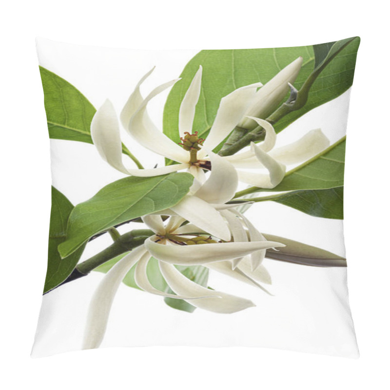 Personality  White Champaca Flowers With Leaves On Branch Isolated On White Background, With Clipping Path  Pillow Covers