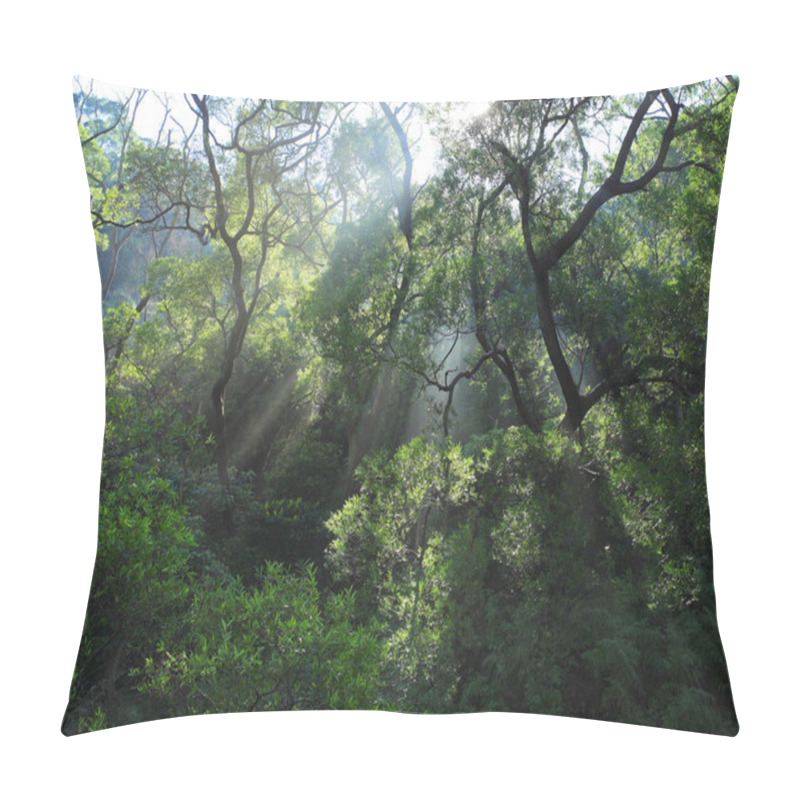 Personality  Tropical Forest In Morning Pillow Covers