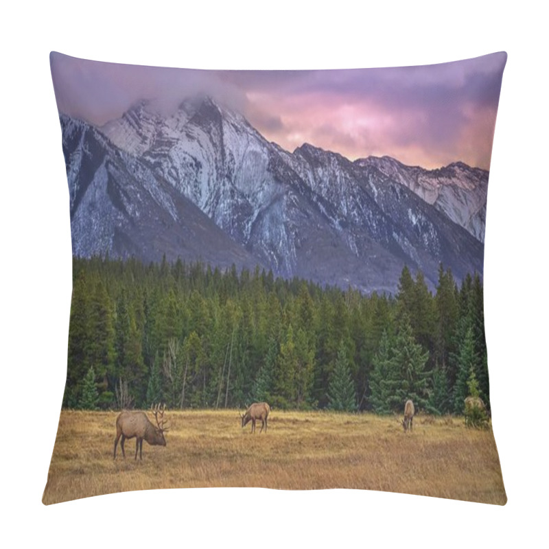 Personality  Elk Grazing In A Mountain Park At Sunrise Pillow Covers