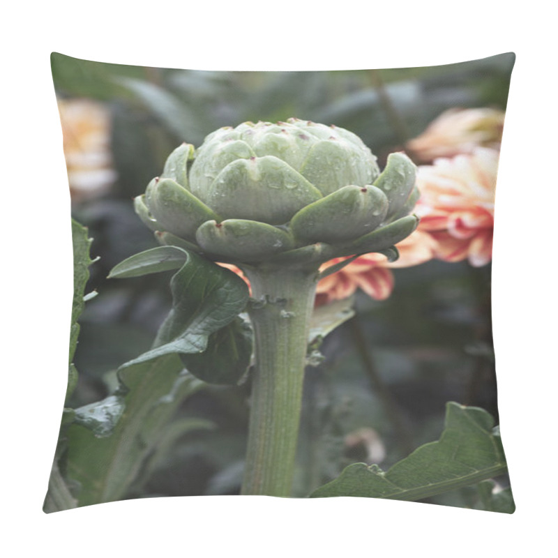 Personality  Side View Of Artichoke Or Cynara Cardunculus After Rain Pillow Covers