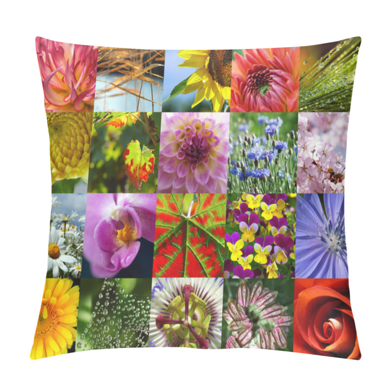 Personality  Macro In Nature Pillow Covers