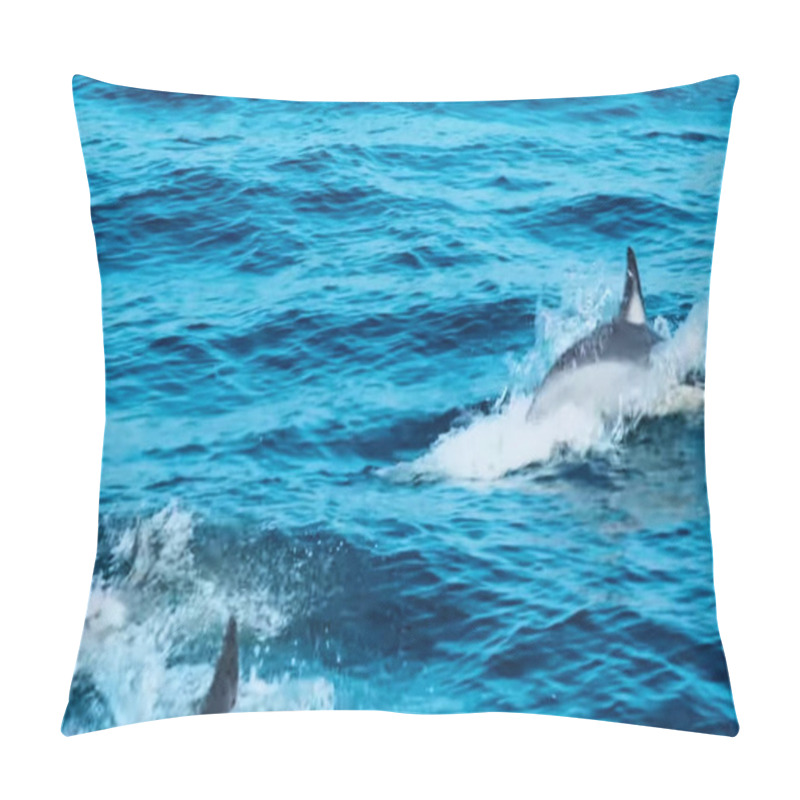 Personality  Dolphins In A Body Of Water Pillow Covers