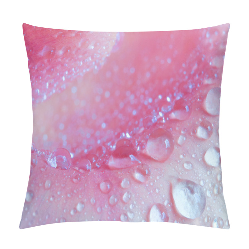 Personality  Rose Petal Close Up Pillow Covers