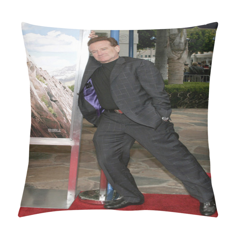 Personality  Actor Robin Williams Pillow Covers