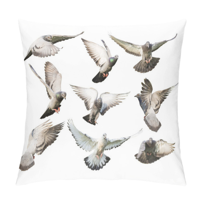 Personality  Different Actions Of Flying Pigeon Pillow Covers