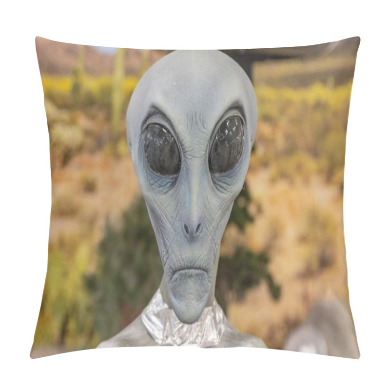 Personality  International UFO Museum And Research Center In Roswell, New Mexico, USA Pillow Covers