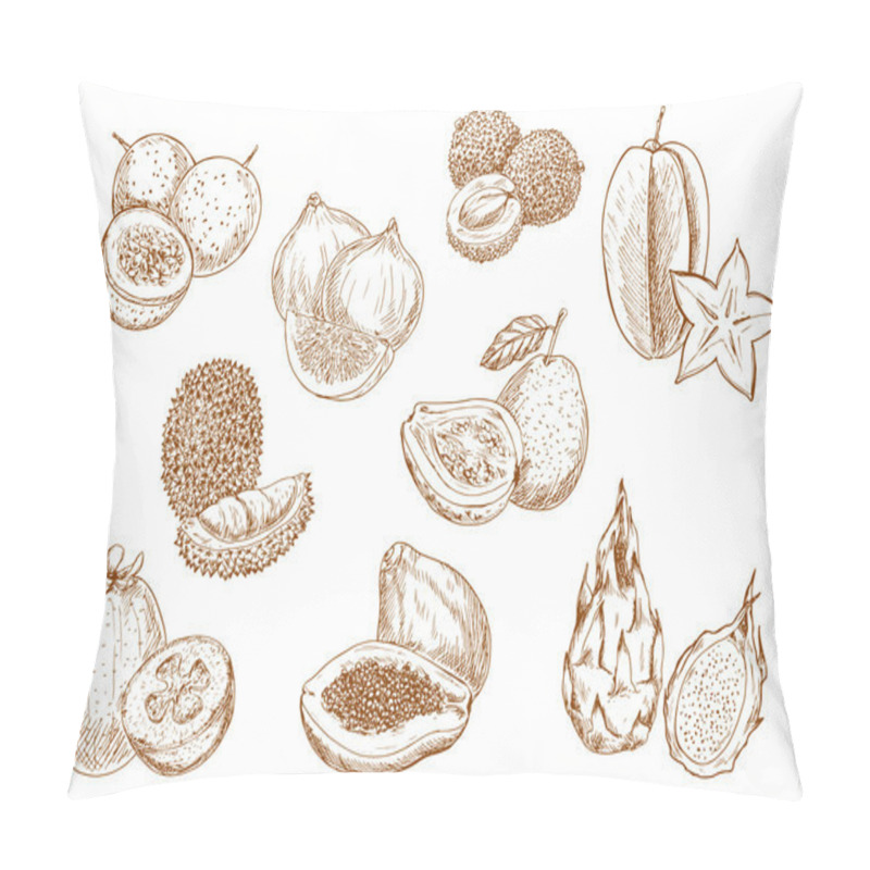 Personality  Sweet And Juicy Exotic Fruits Sketch Icons Pillow Covers