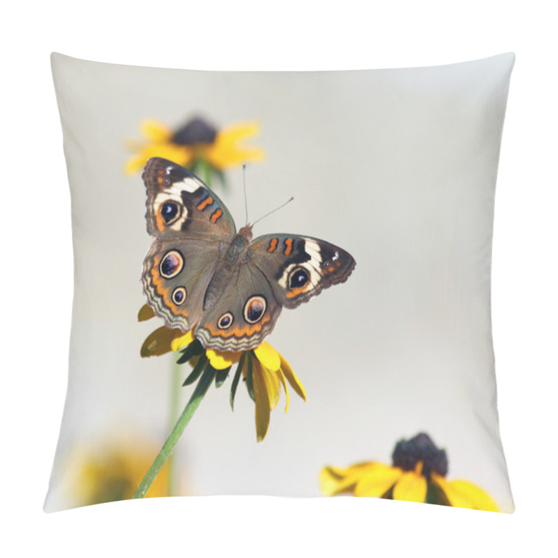 Personality  Beautiful Butterfly On Black Eyed Susan Flower Pillow Covers